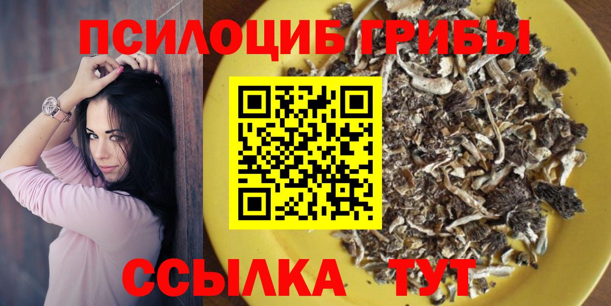 Галлюциногенные грибы Psilocybe Слободской